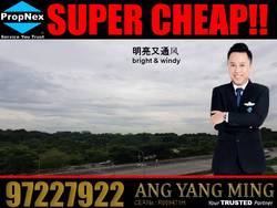 Blk 480 Segar Road (Bukit Panjang), HDB 4 Rooms #177012202